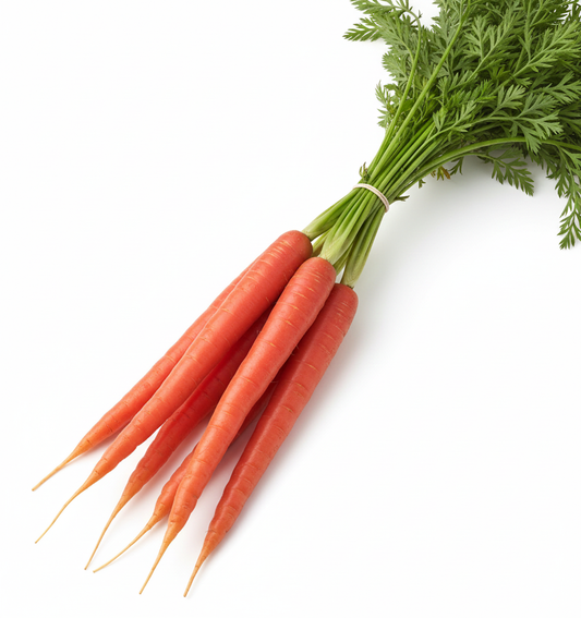 RED CARROT