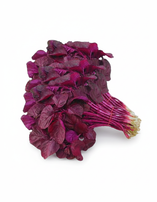 RED CHEERA