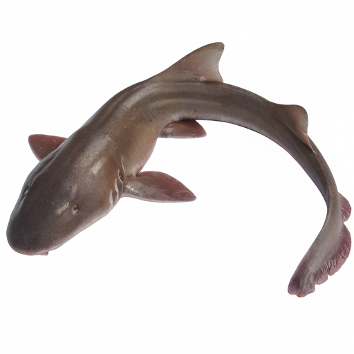 SHARK-£7.99/KG(2-3KG SIZE)