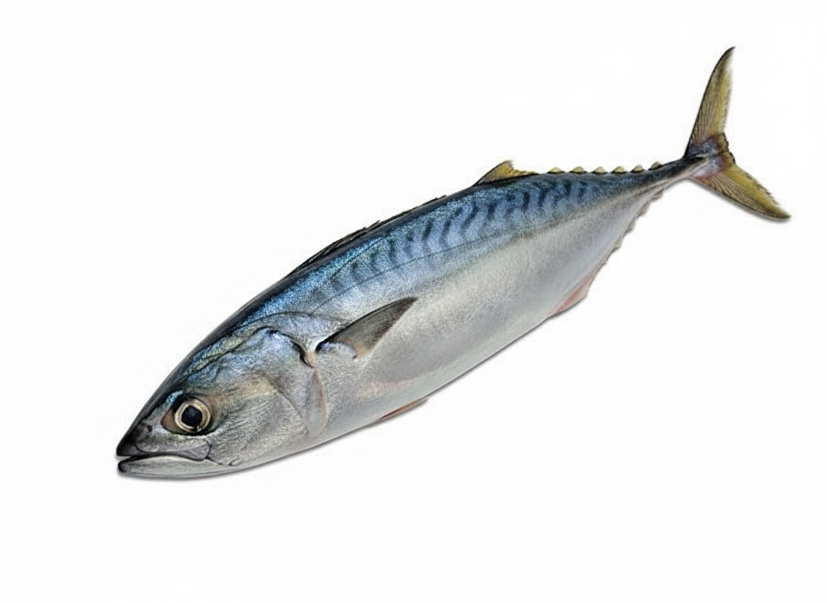 TUNA-£13.99/KG