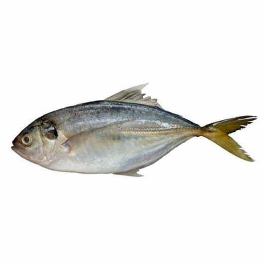 TRAVELLY/VATTA-£14.99/KG