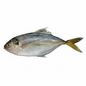 TRAVELLY/VATTA-£14.99/KG