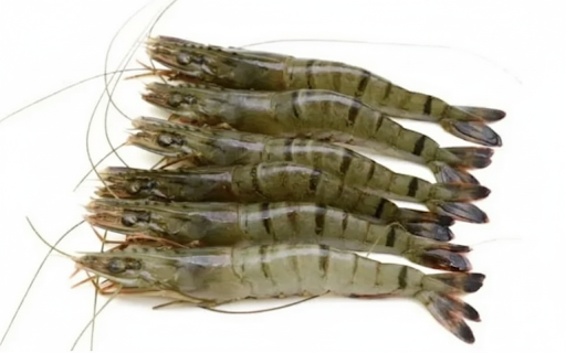 PRAWNS-£10.99/KG