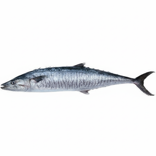 KING FISH/VANJARAM-£16.99/KG