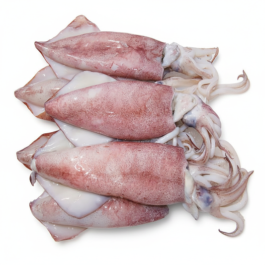 SQUID-£14.99/KG