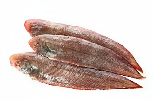SOLE FISH/MANTHAL-£14.99/KG