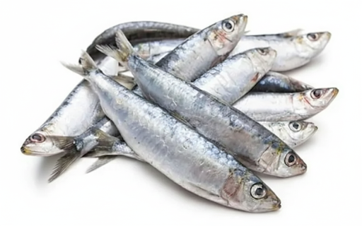 SARDINES/MATHI-3KG BOX-£18.00