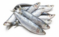 SARDINES/MATHI-3KG BOX-£18.00