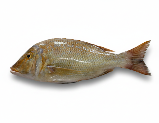 EMPEROR/VILAI MEEN-£15.99/KG