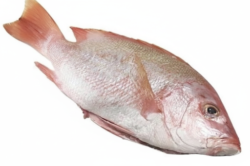 RED SNAPPER/CHEMBALLI-£15.99/KG