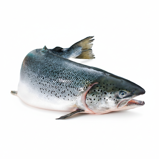 SALMON-£11.99/KG(2-3KG SIZE)