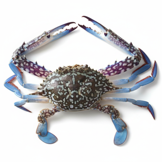 CRAB-£15.99/KG