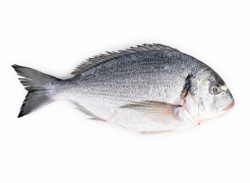 SEA BREAM-CLEANED-5KG BOX-£49.99