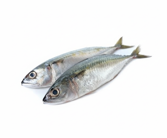 INDIAN MACKEREL/AYALA-£12.99/KG